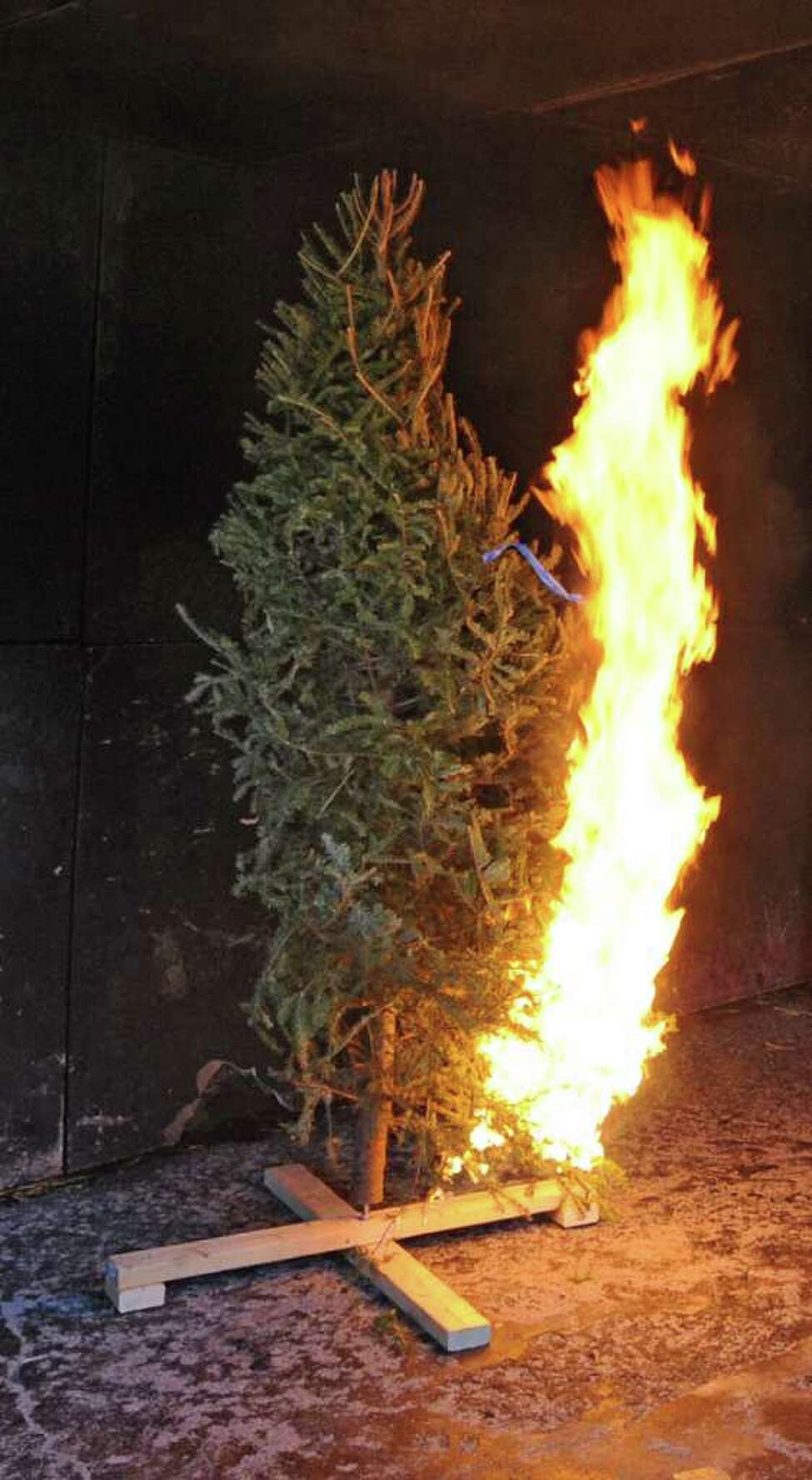 Firefighters Be wary of dry trees