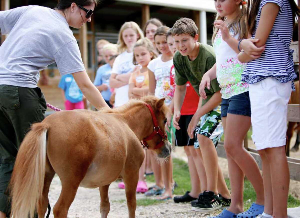 Local kids learn about rescued animals during the Houston SPCA Critter Camp