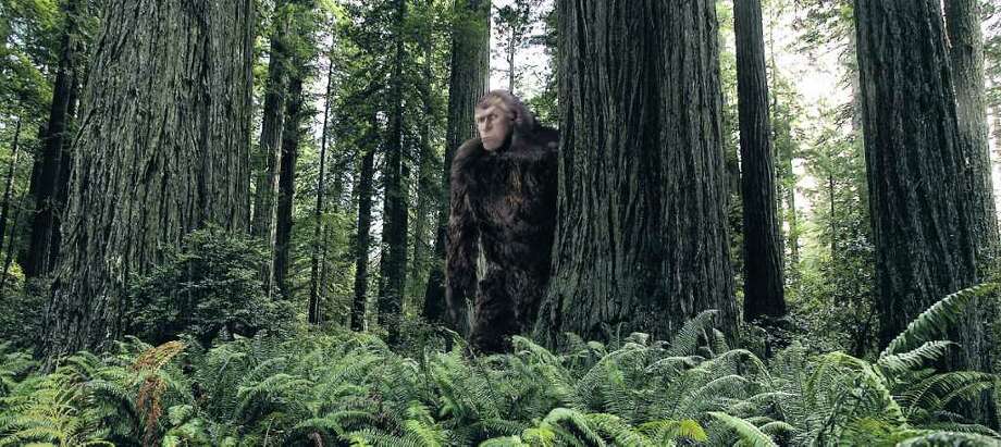 Searching for Bigfoot in Texas - Houston Chronicle