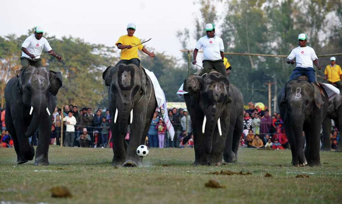 Nepal Elephant Festival