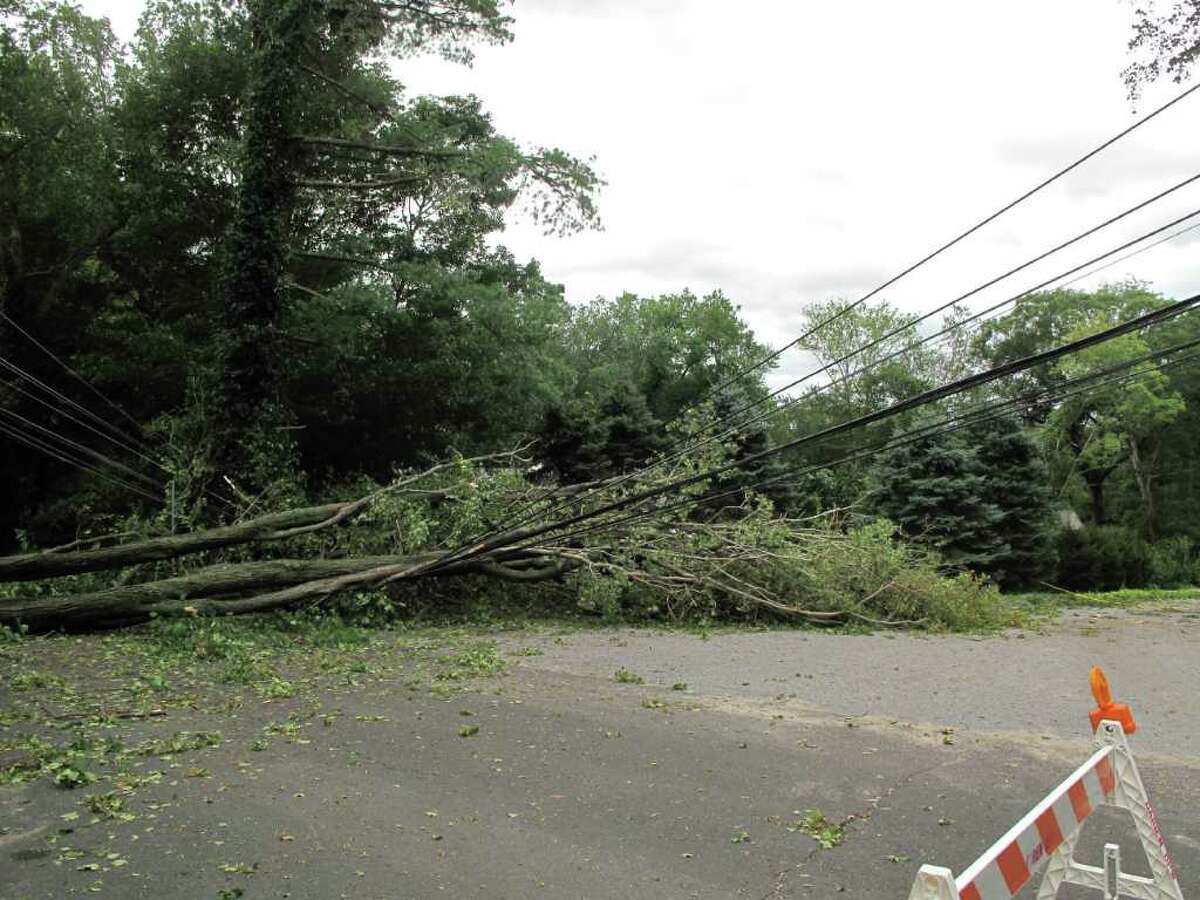 Several trees down on wires near the New Canaan/Darien border on Hollow Tree Ridge Road after Tropical Storm Irene in September.