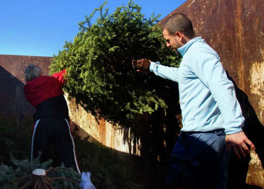 christmas tree recycling houston chronicle christmas tree recycling houston chronicle
