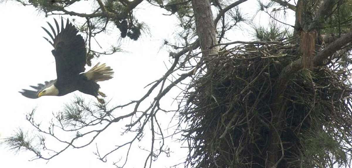 Dave's 2011 photo picks