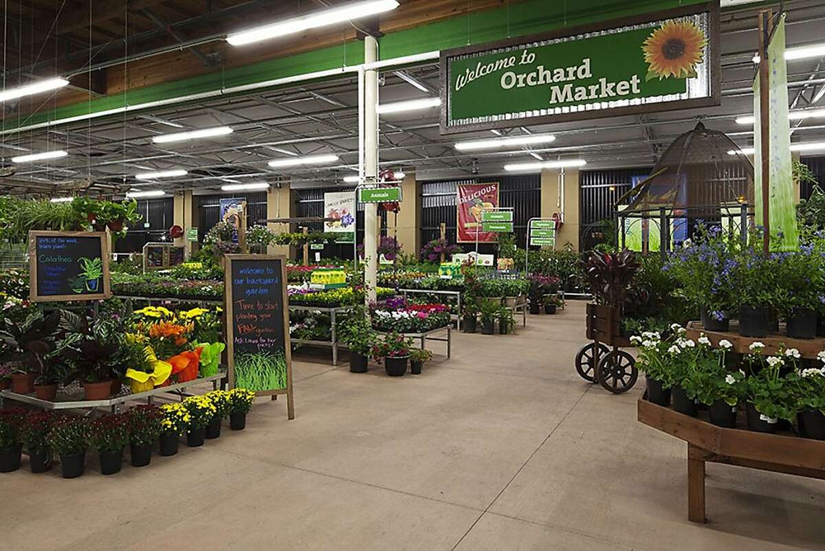 Orchard Supply on its own again