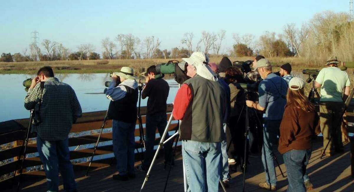 This image provided by the Colusa National Wildlife Refuge shows visitors watching for a male falcated duck at Colusa National Wildlife Refuge, Calif., Dec. 8, 2011. The bird, common in China, is an extreme rarity for California. Since it was spotted, thousands of visitors from the U.S. and Canada have flocked to the refuge to see it. (AP Photo/Colusa National Wildlife Refuge, Michael Peters)