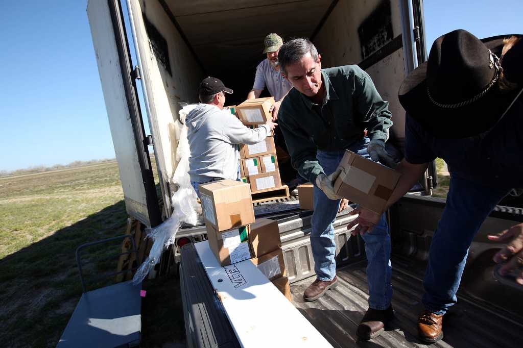 Texas gains upper hand in rabies fight