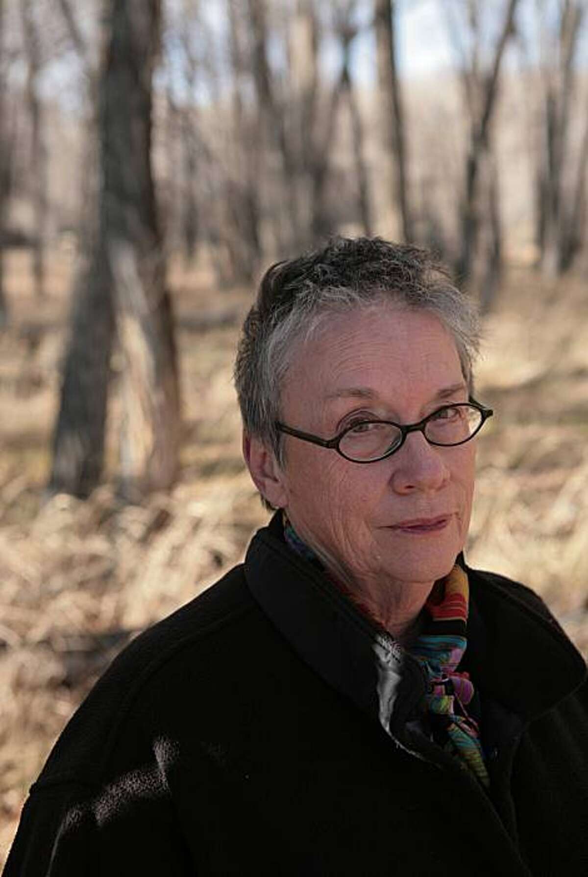 'Bird Cloud,' by Annie Proulx review