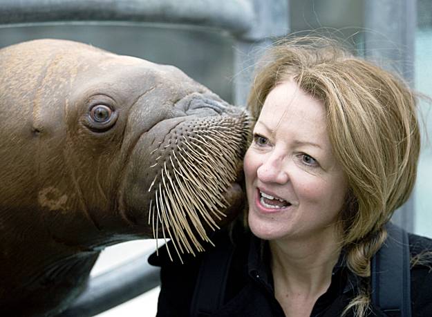 SFGate: Day in Pictures