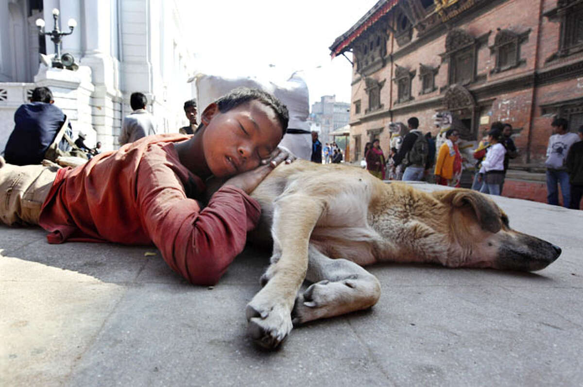 A street child rests his head on a stray dog in Katmandu, Nepal, Thursday, Nov. 19, 2009, a day before Universal Children's Day. Nearly 200 million children in poor countries have stunted growth because of insufficient nutrition, according to a UNICEF report.