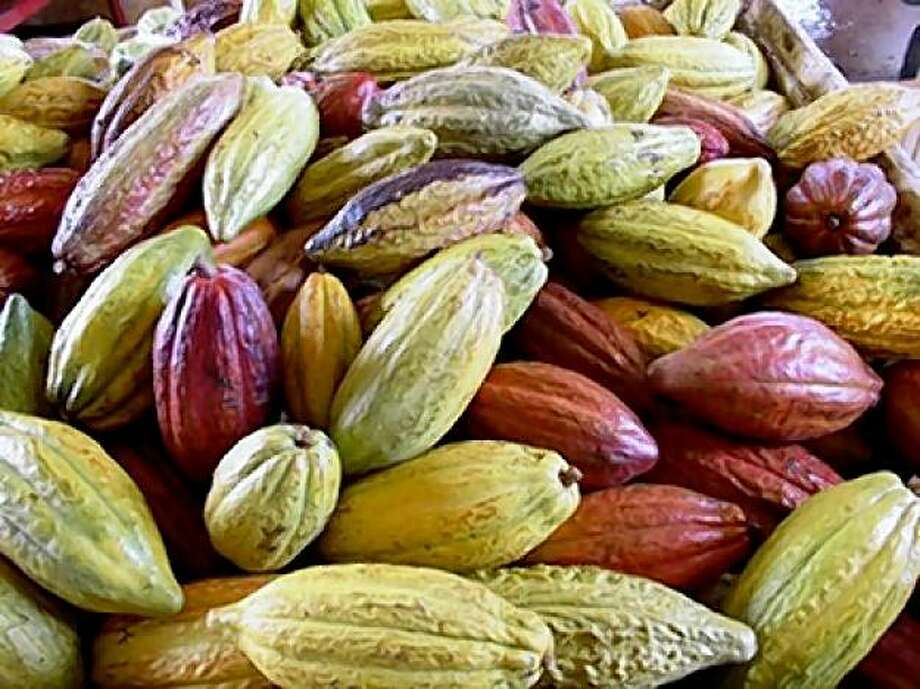 Chocolate farms a sweet spot on any Hawaii itinerary SFGate