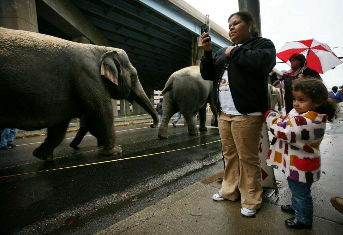 Judis Colon and her daughter Natalia Perez, 3 of Bridgeport, watch the parade of elephants on their way to the Arena at Harbor Yard in Bridgeport, Conn. on Tuesday, October 27, 2009.