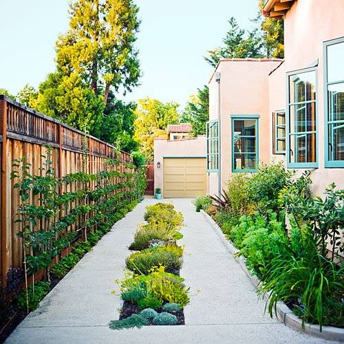 Small spaces: 20 ways to garden anywhere