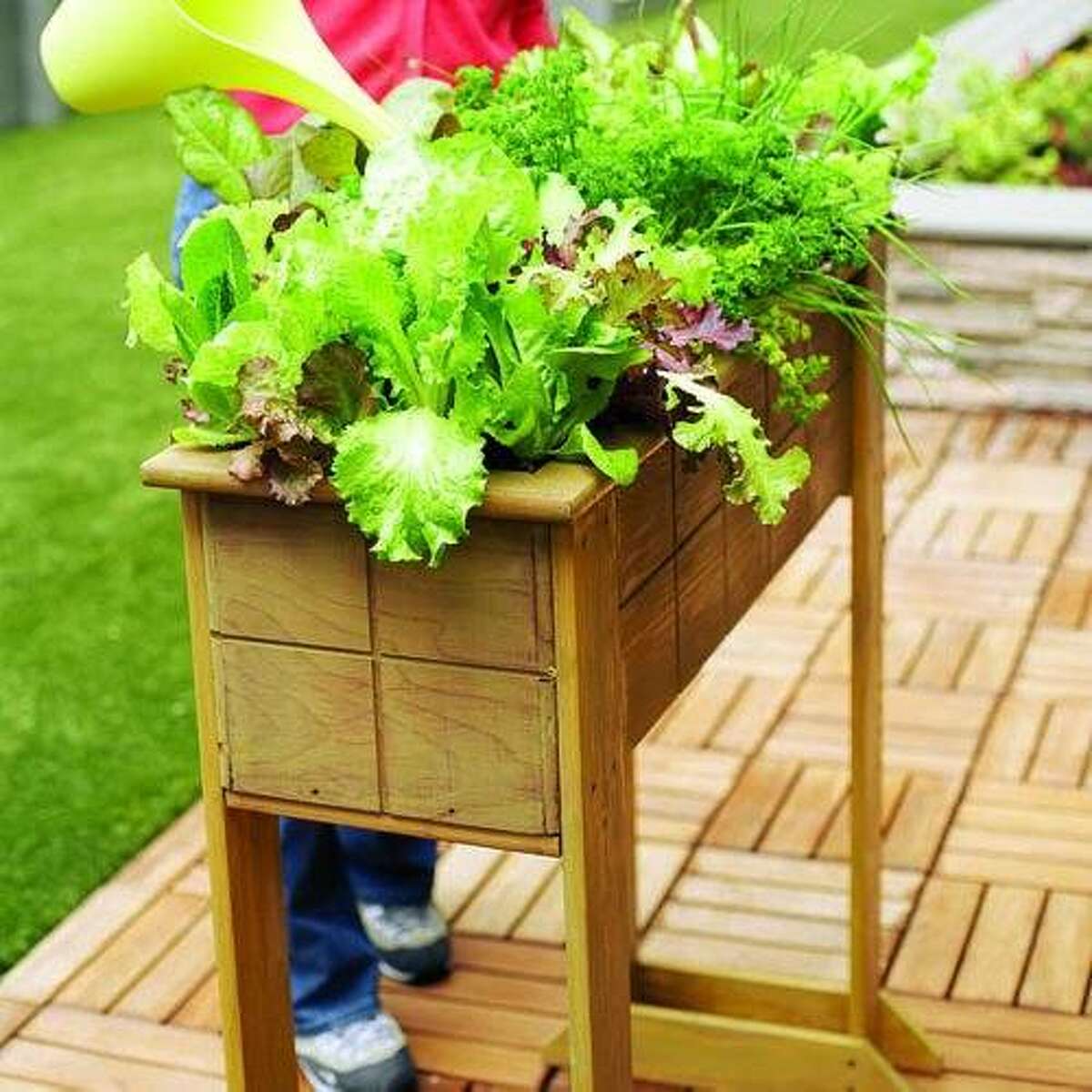 20 best backyard projects