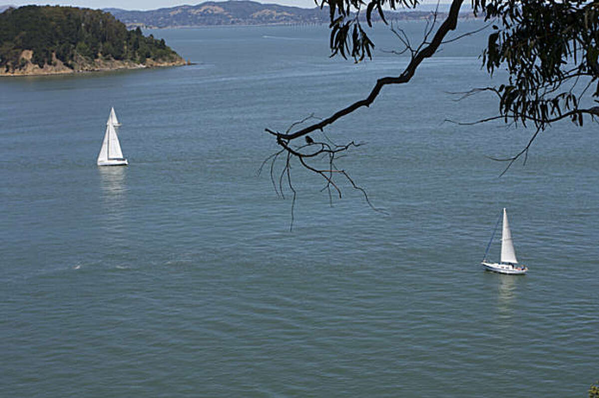Pitching a tent on Angel Island An urban camping story