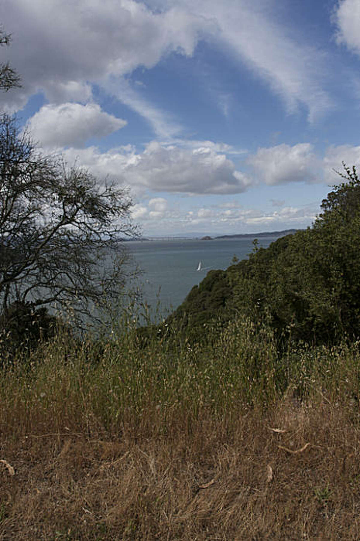 Pitching a tent on Angel Island An urban camping story