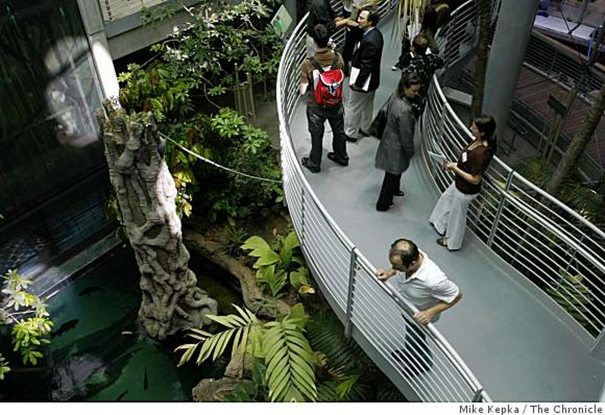 A walkway winds through the Rainforests of the World at the Academy of Sciences on Thursday Sept. 18, 2008 in San Francisco,Calif.