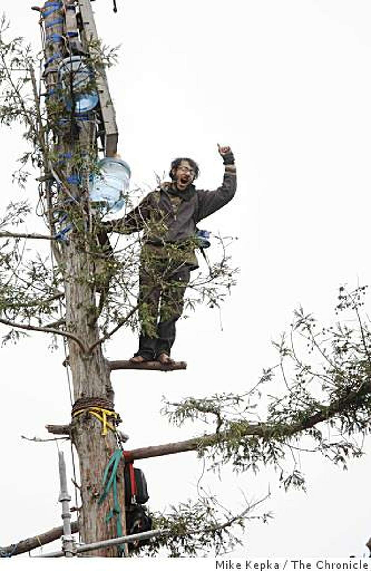 Berkeley treesitters finally down to earth