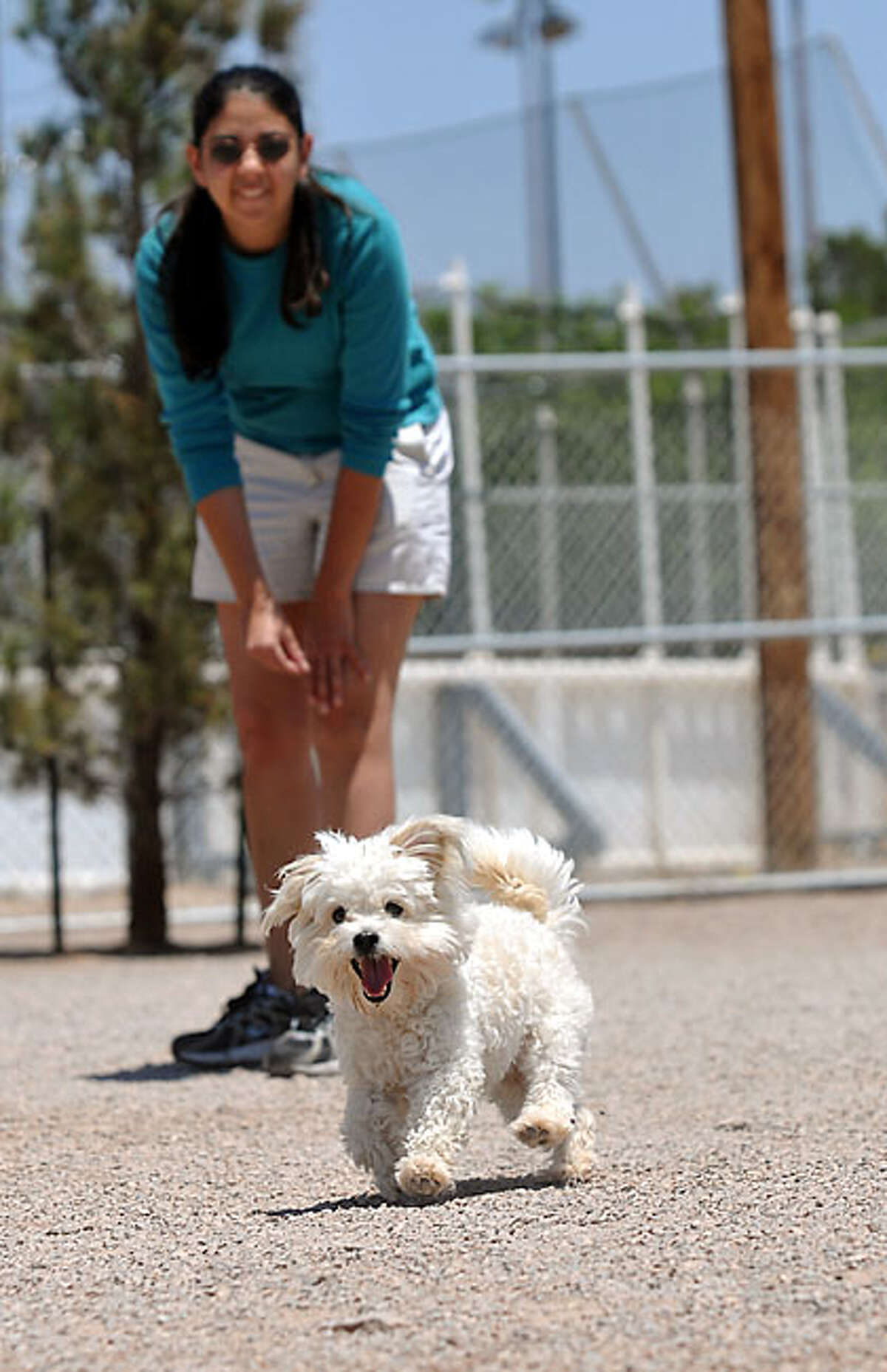 Snicker Doodle runs free of a leash Monday, May 17, 2010, at the Las Cruces Dog Park in Las Cruces, N.M., as Juliette Vigil plays fetch with the 1 1/2-year-old canine. The Las Cruces woman said she has been coming to the park with her dog regularly sincebecoming aware of it a little over one week ago. The park has been open for one year.