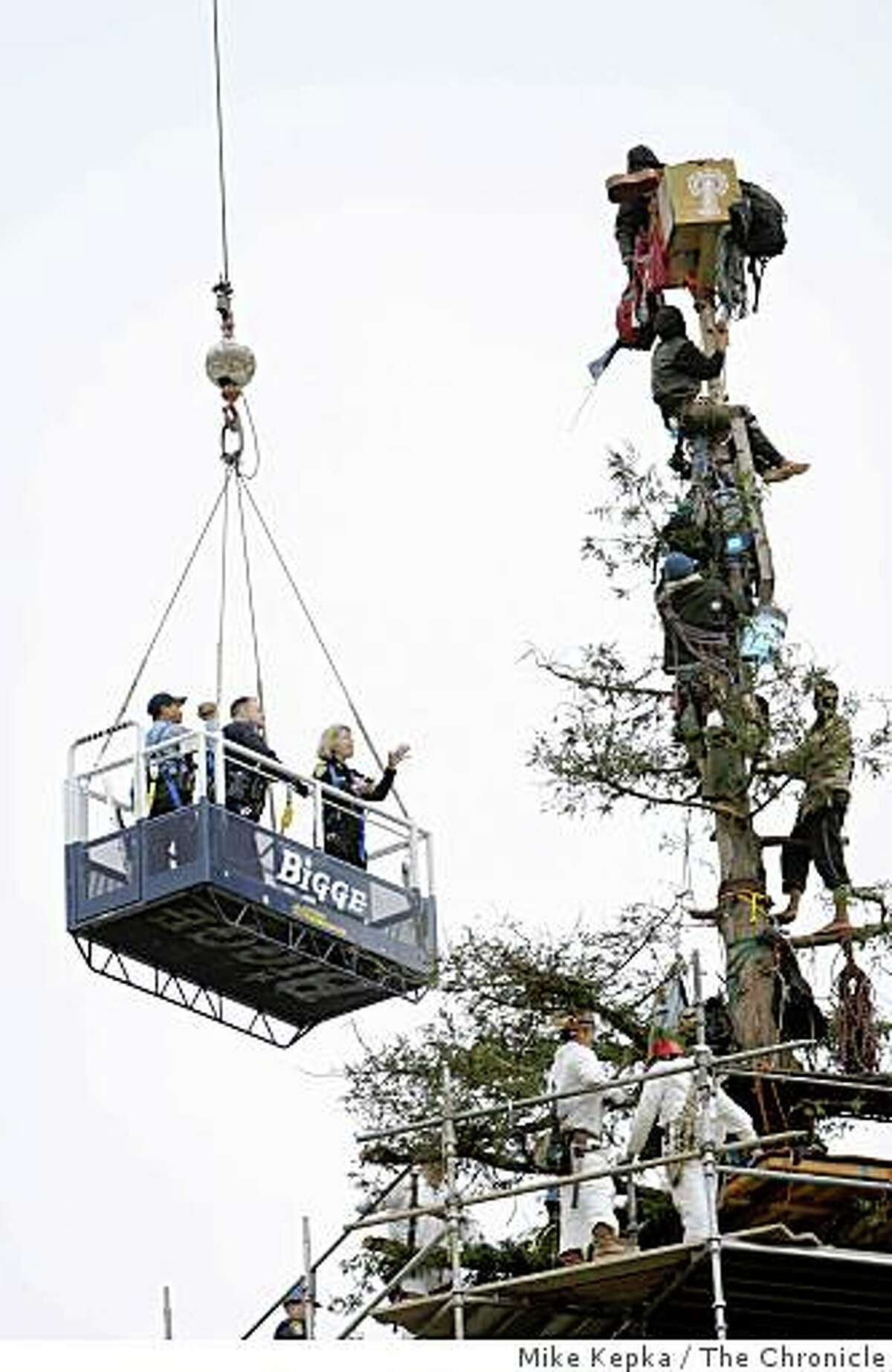 U.C. Berkeley Police Chief Victoria Harrison talks with the final four tree sitters perched on top of a lone redwood tree on Tuesday Sept. 9, 2008 in Berkeley, Calif.