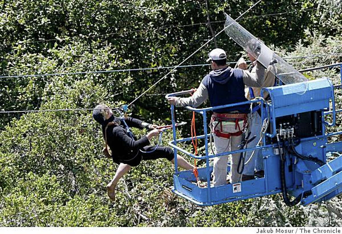 A tree-sitting protester swings a wire cutter at workers as they try to shield themselves from urine being splashed at them from the tree top at a grove outside of Memorial Stadium in Berkeley, Calif. on Tuesday, June 17, 2008.