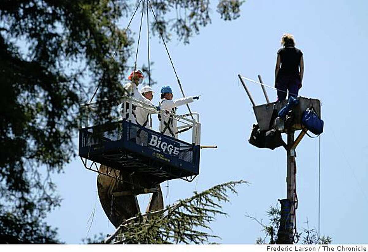 A protester known as "Dumpter Muffin" stands at the top of the tree as authorities via a crane survey the scene on June 18, 2008.