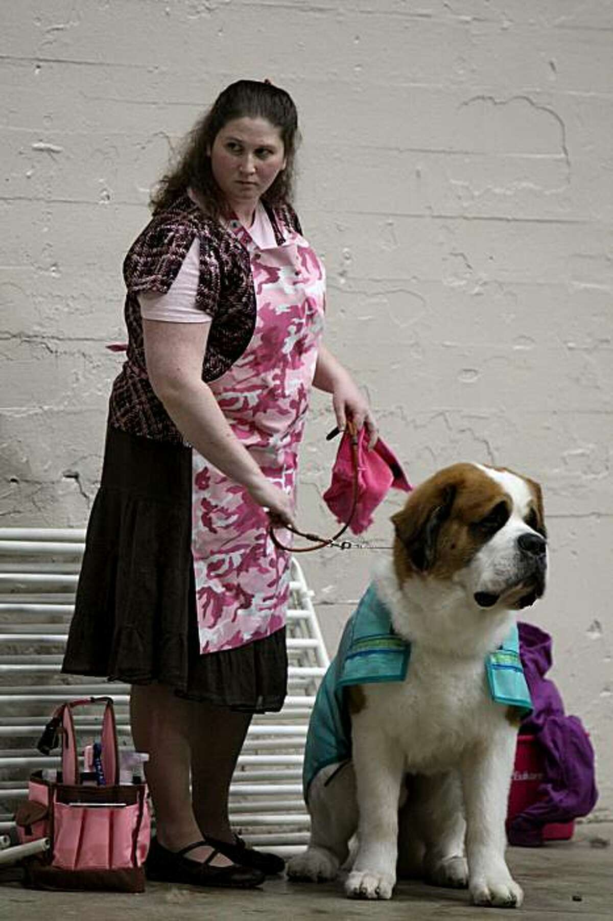 Golden Gate Kennel Club dog show