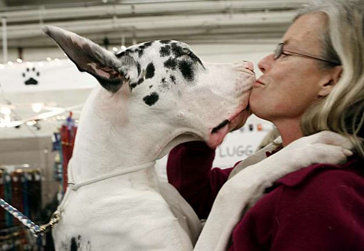 Golden Gate Kennel Club dog show