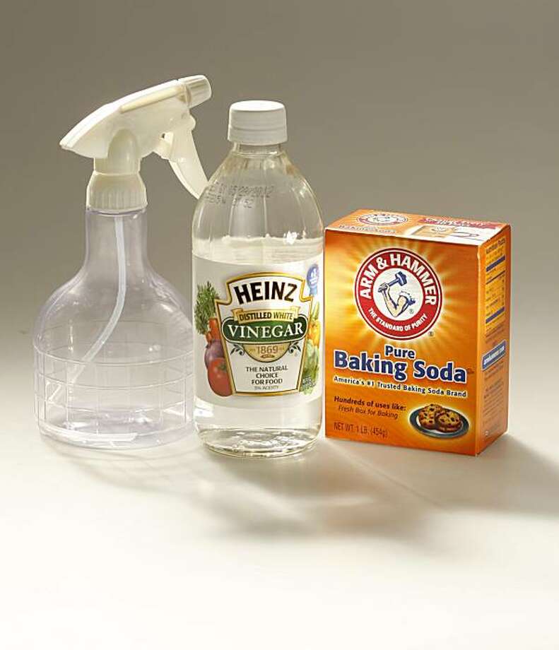 Ecowise germrepelling recipes SFGate