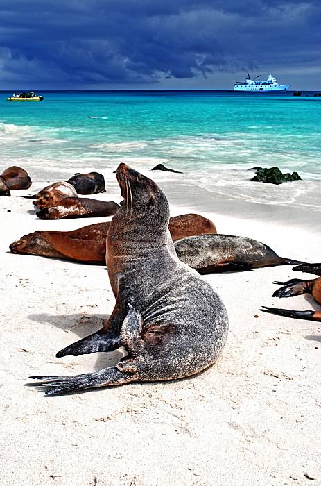 In Darwin's footsteps to the Galapagos