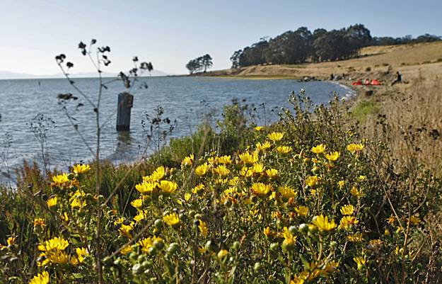 Dynamite Point Pinole Point Pinole: A dynamite place to hike, play