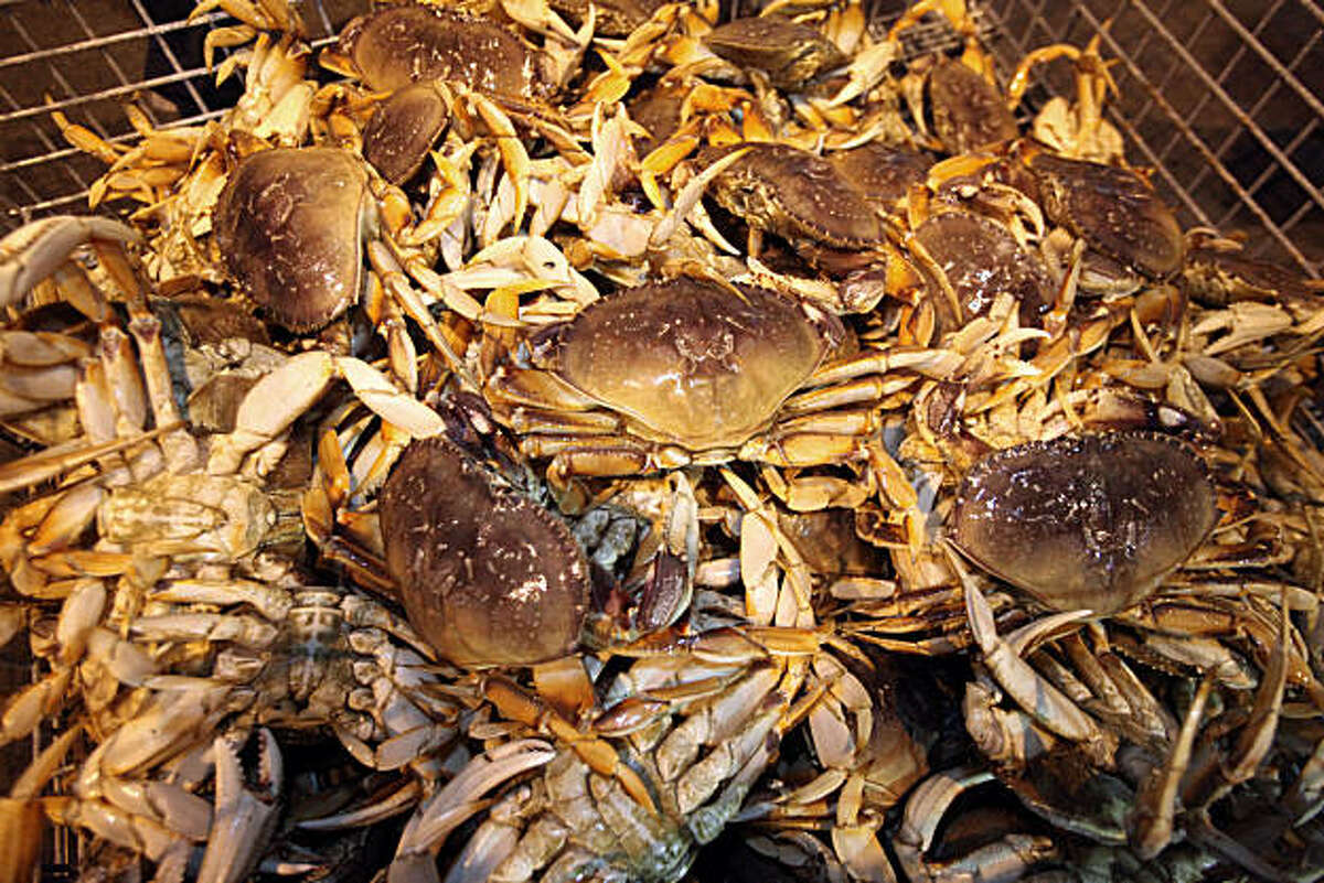 Dungeness crab season opens after short delay