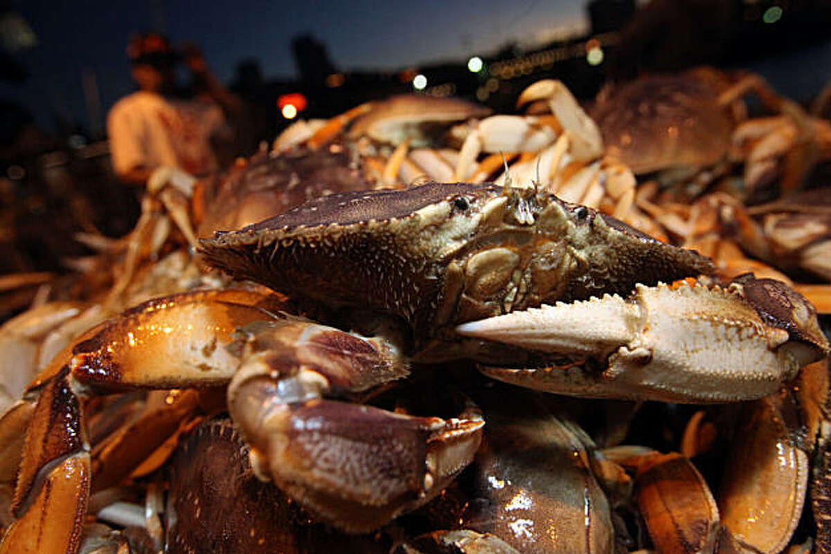 Dungeness crab season opens after short delay