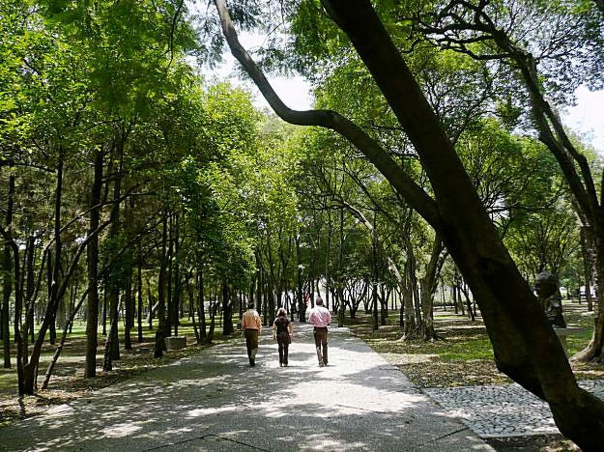 Bosque de Chapultepec in Mexico City.