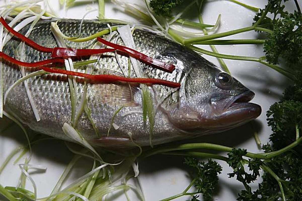 A plated steamed whole fish at South Seafood Village in Millbrae , Calif., on Monday, January 31, 2011.
