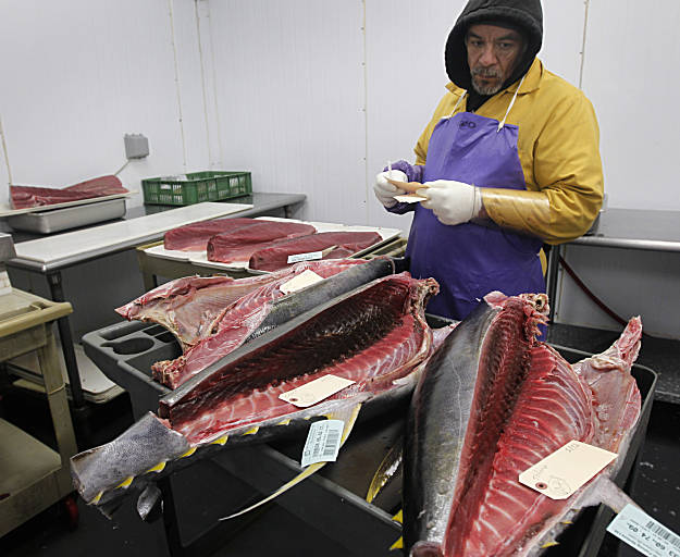 Group secretly tests mercury in tuna, swordfish SFGate
