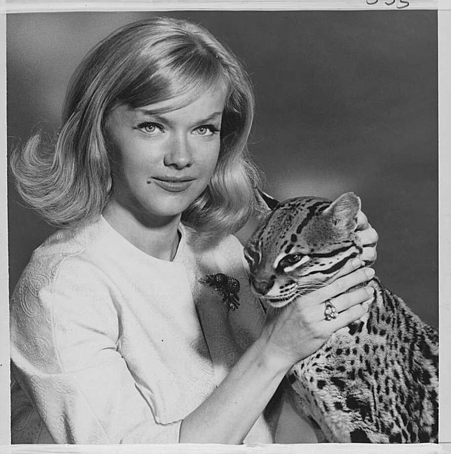 Anne Francis, film and TV actress, dies at 80 - SFGate