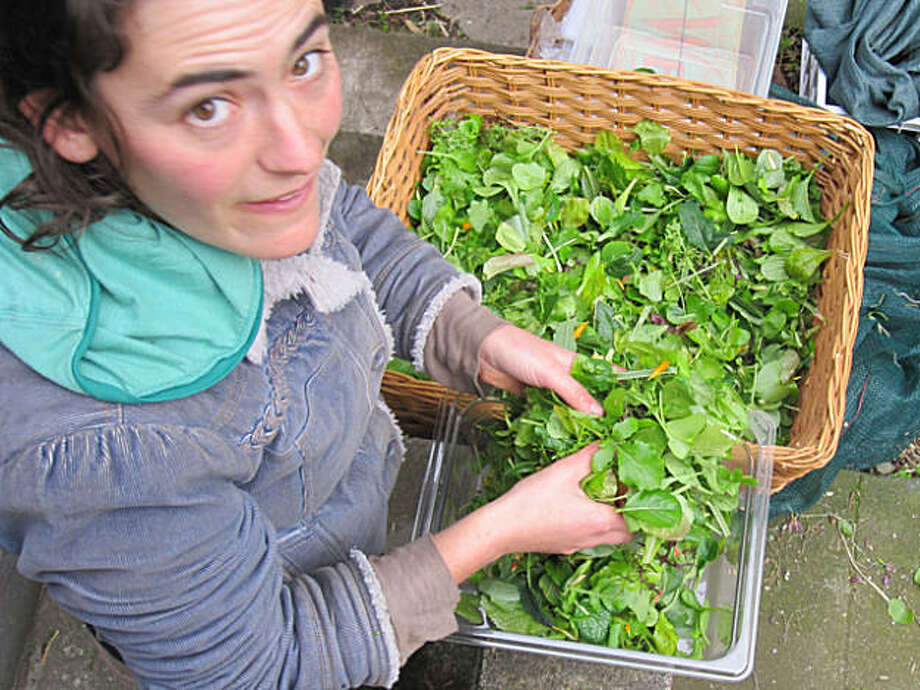 Little City Gardens Makes A Go Of Urban Agriculture In San