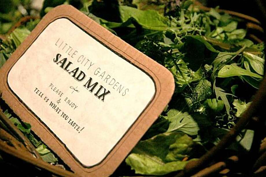 Little City Gardens makes a go of urban agriculture in San Francisco