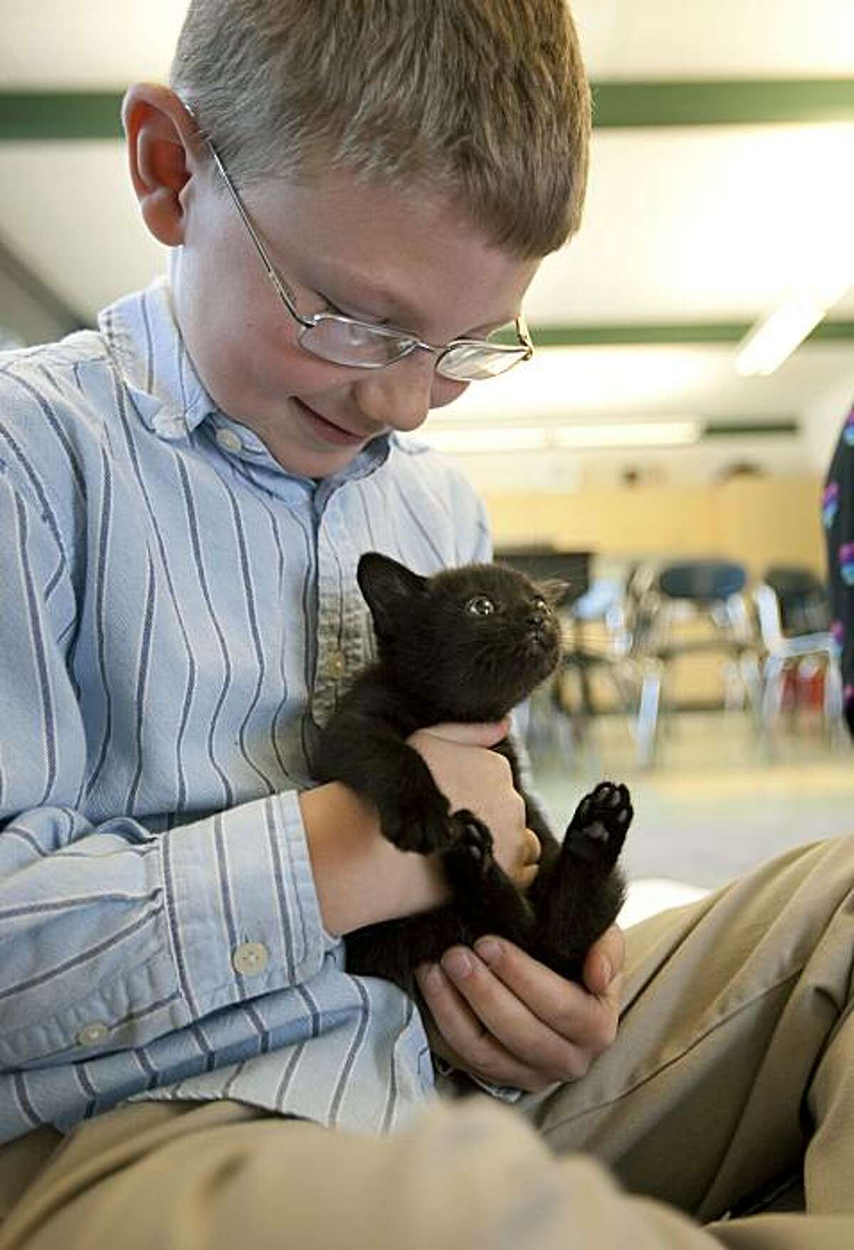 In this photo made April 15, 2010, Dylan Graybeal, 7, a second grader in Deb Grandizio's class at Forewood Elementary School in Wilmington, Del., gets his turn to hold a four and half week old kitten that his teacher is fostering at home with four otherkittens. Grandizio is the vice president of the Delaware Humane Association and likes to use the animals from the shelter as learning tools.