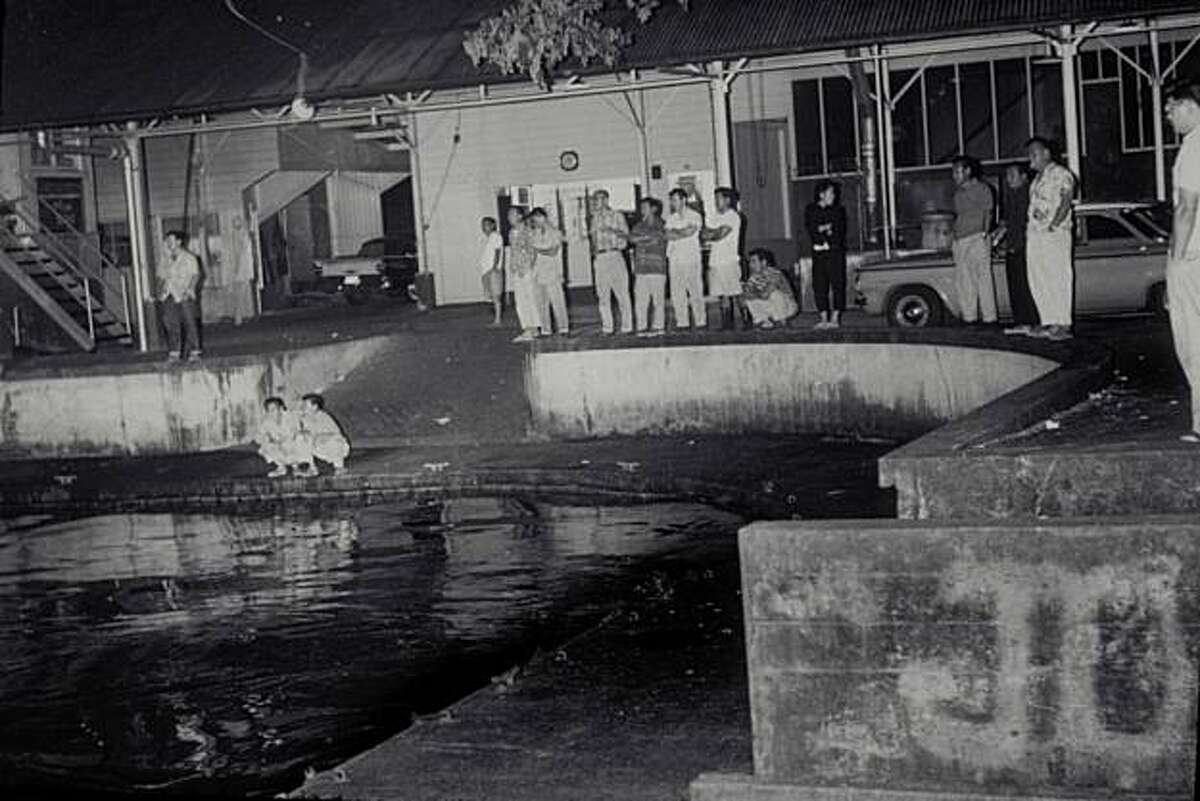 Tsunami hawaii photos