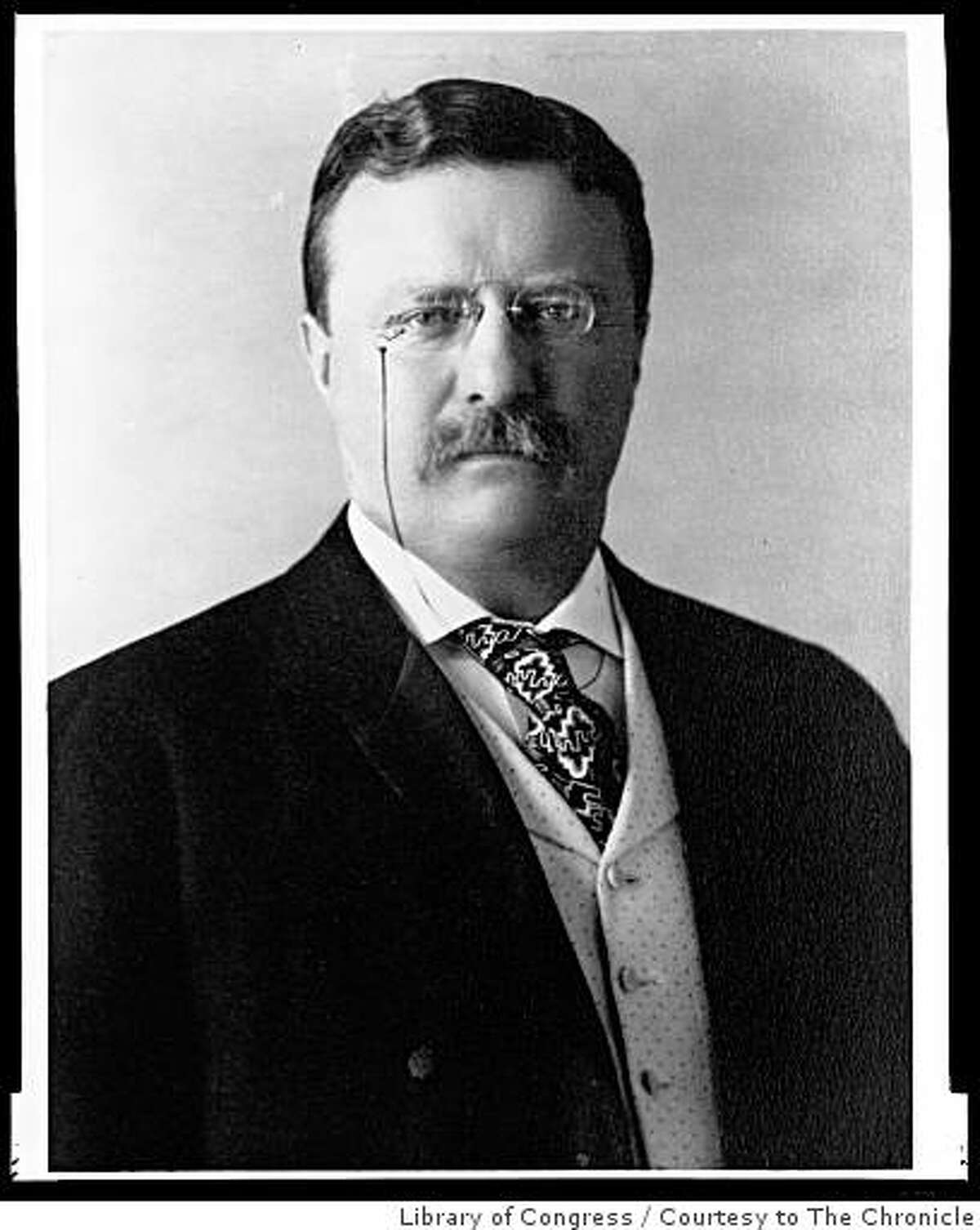 theodore roosevelt time out west