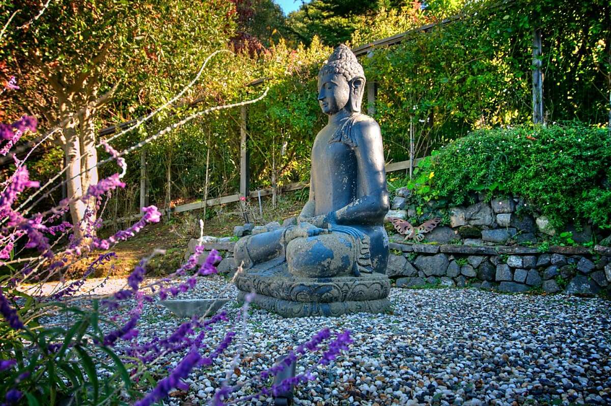 Secluded, redesigned Mill Valley contemporary