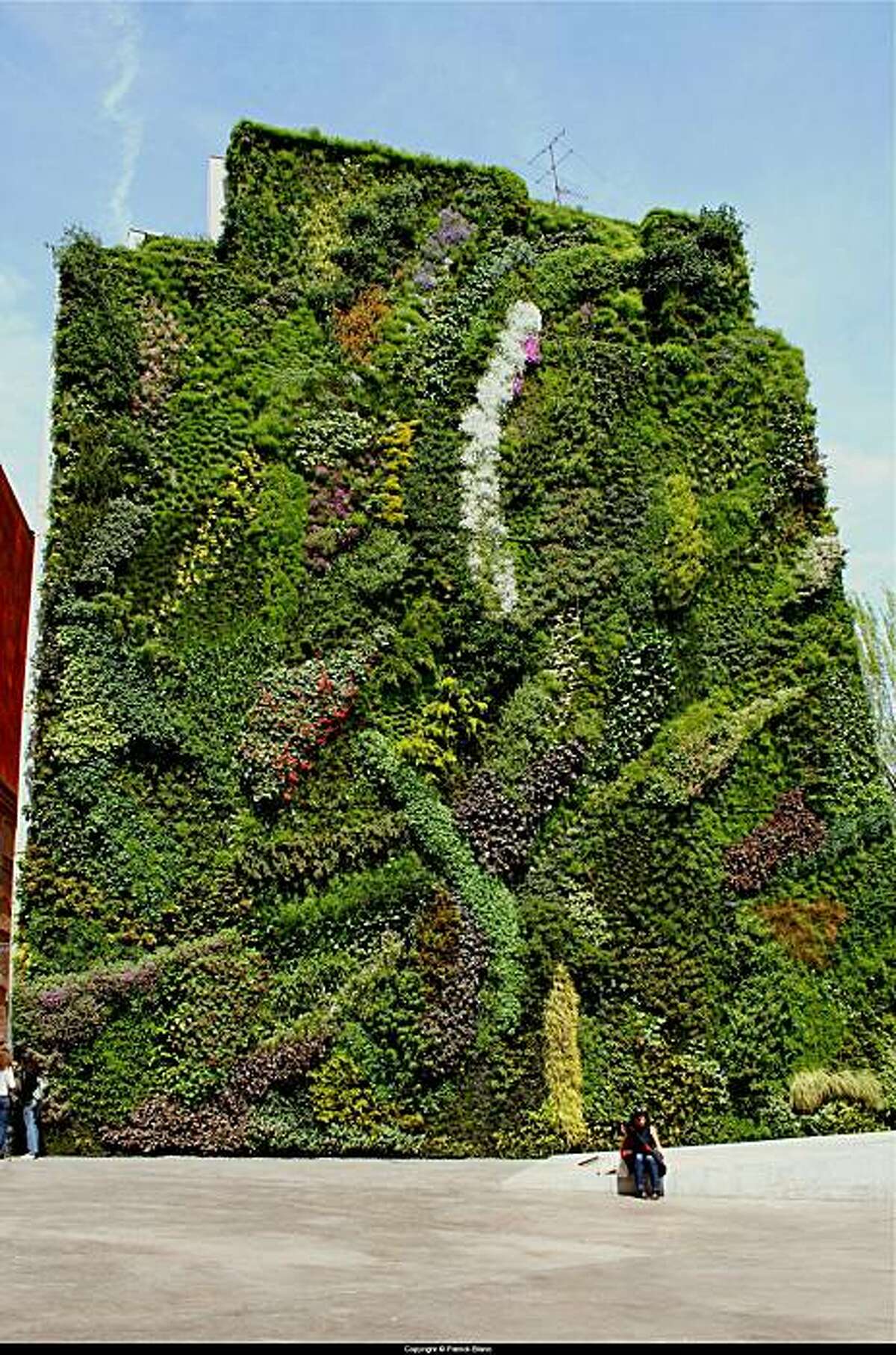 Patrick Blanc green garden comes to Drew School