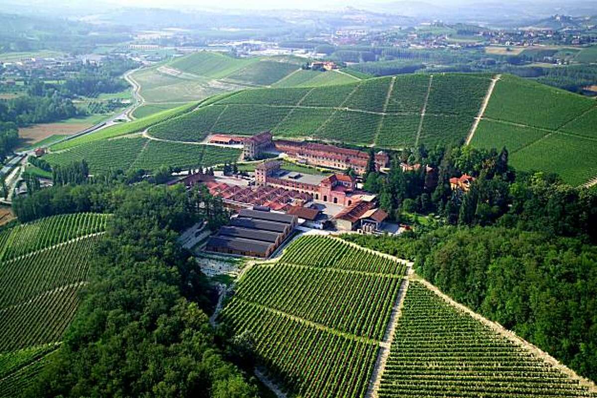 Barolo wines await their defining moment