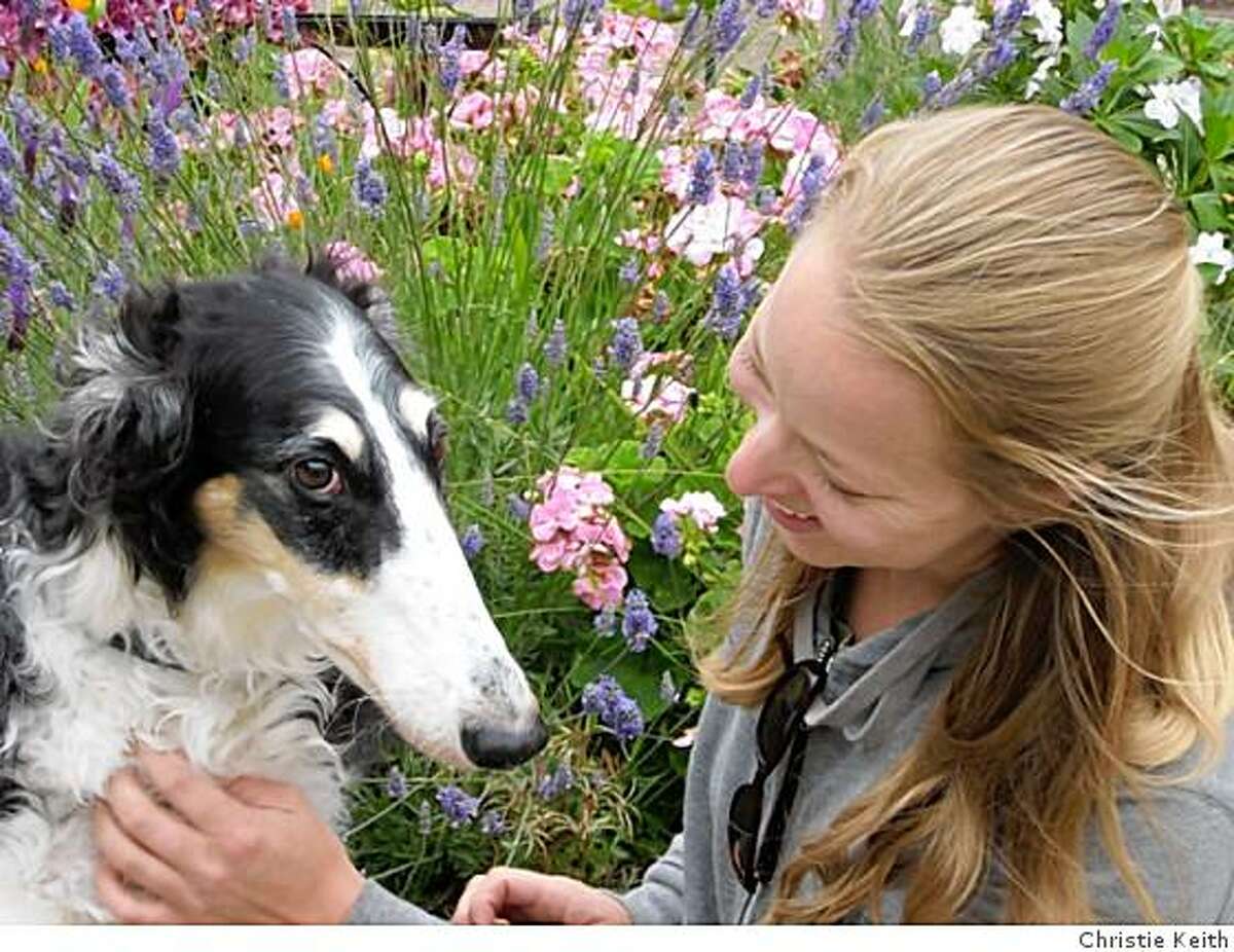 Courtney Guntner of The Whole Pet, a dog walking and pet sitting company in San Francisco, visits with one of her clients, a Borzoi named Kyrie.