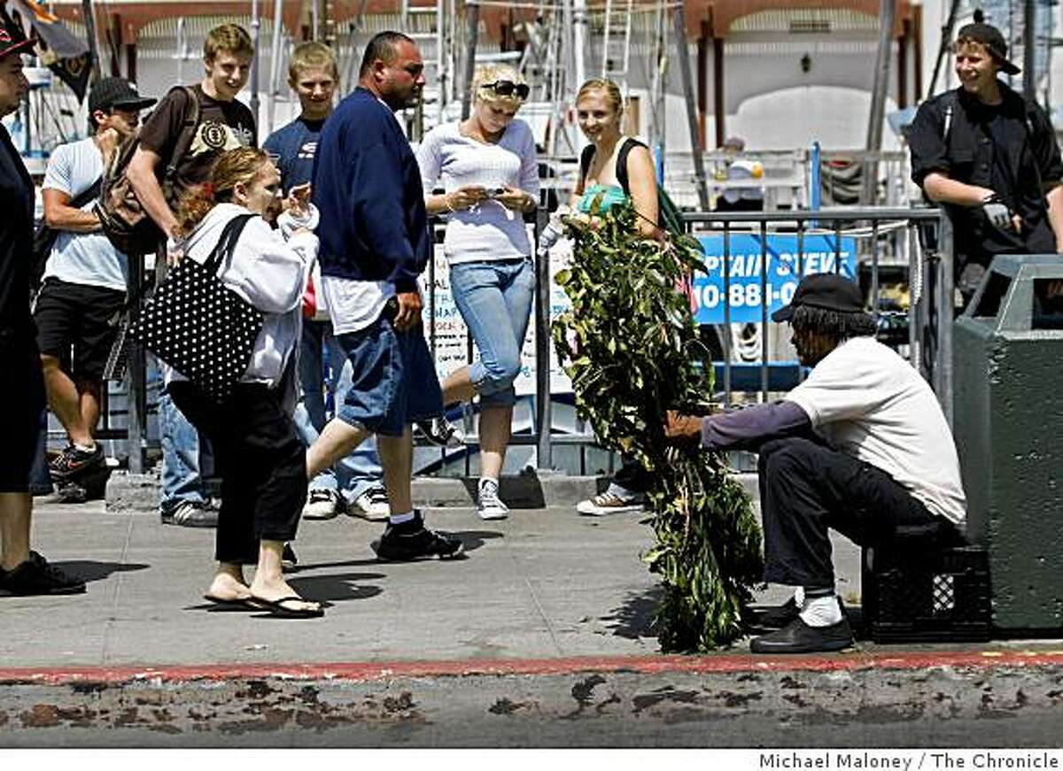 The Bushman scares tourists from behind a bush on a busy Jefferson Street sidewalk in Fisherman's Wharf on August 19, 2008.The city is proposing to spend about $10 million to widen the main drag at Fisherman's Wharf and add bike lanes, wider sidewalks and better landscaping.