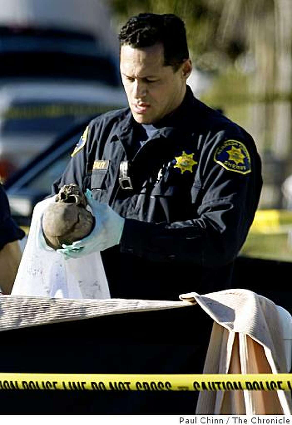A coroner's investigator inspects a human skull after a road maintenance crew discovered the remains buried in mud on the 3000 block of Washington Street in Alameda, Calif., on Wednesday, Jan. 28, 2009.