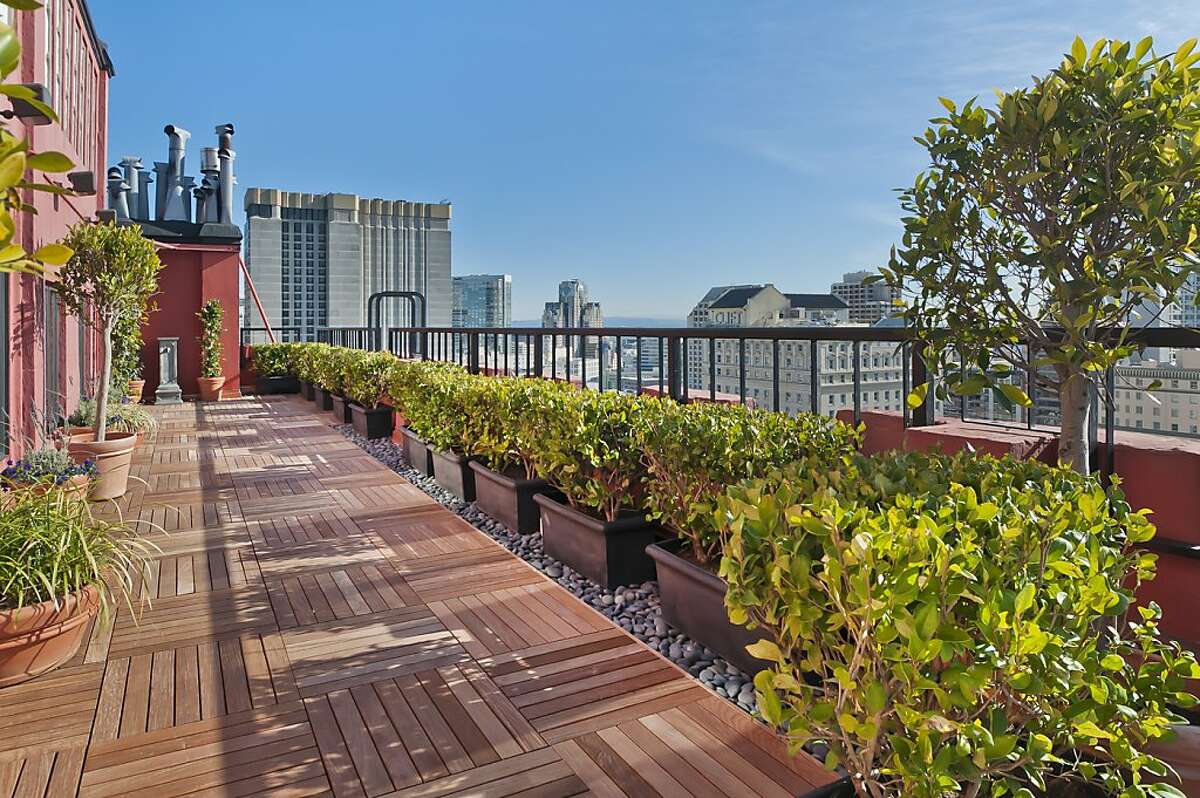 Downtown San Francisco penthouse with terrace