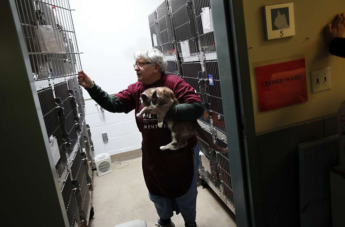 Oakland animal rescuer who won IRS case loses cats