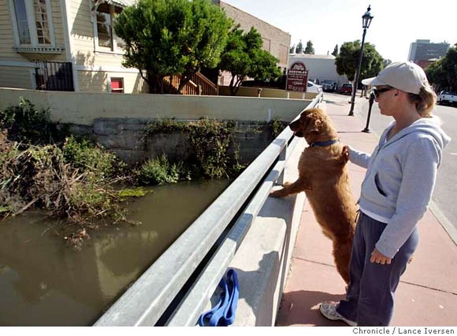 MARTINEZ Beavers Set Up Shop Downtown Mayor Says They ve Become 
